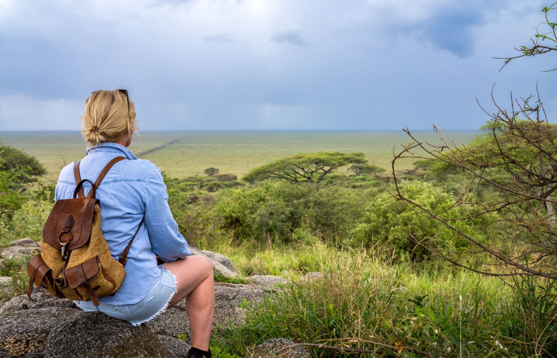Guide tanzanien de dos observant la savane depuis un véhicule de safari ouvert