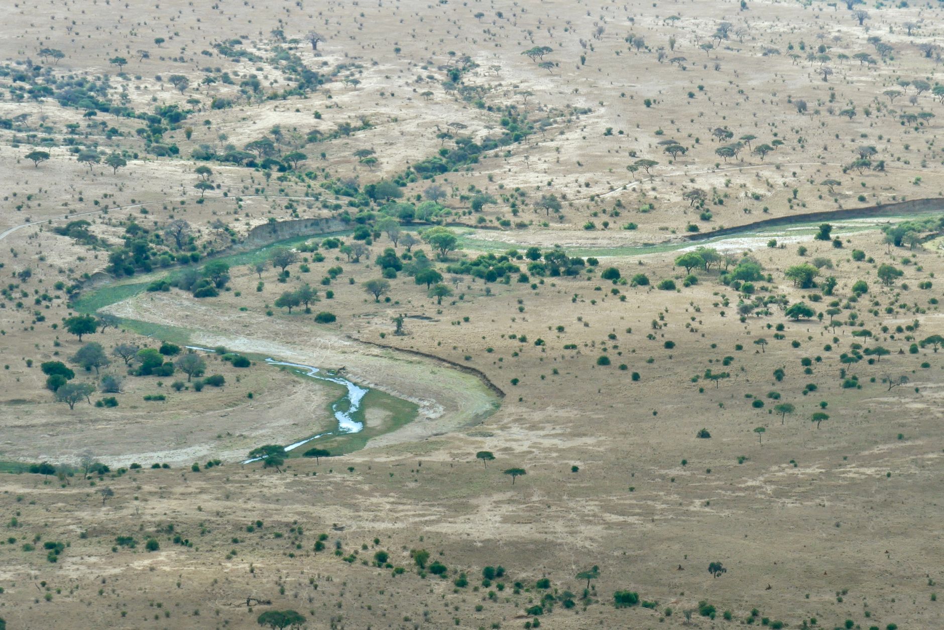 Rivière et faune dans le parc national de Ruaha