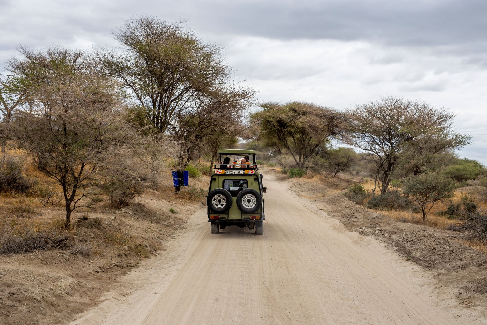 Véhicule de safari roulant dans la savane du Serengeti à la lumière rasante du matin