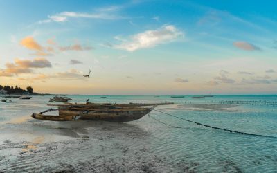 Voyager en Tanzanie : conseils pratiques et informations utiles