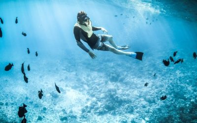 Plongée en Tanzanie : les meilleurs spots