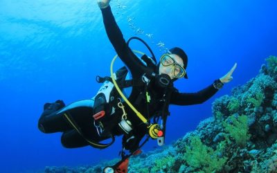 Plongée nocturne Tanzanie : une aventure unique