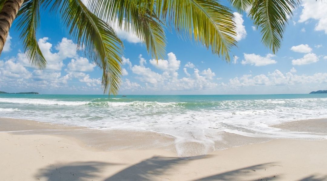 Voyage au pays