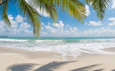 Voyage en Tanzanie : Meilleurs Conseils et Bons Plans pour une Aventure Unique