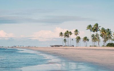 Tanzanie ou République Dominicaine : Lequel choisir pour des vacances inoubliables ?