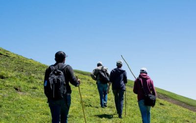 Excursions à San Salvador en Tanzanie: escapades inattendues entre nature et culture