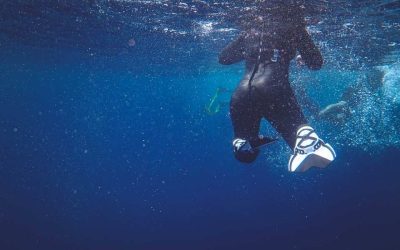 Plongée épave en Tanzanie: explorer les secrets sous-marins de la côte swahilie