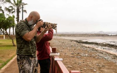 Observation des oiseaux en Tanzanie: les sanctuaires où la vie ailée se dévoile