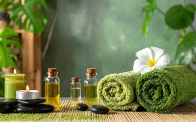 Séjour wellness Tanzanie : quels lodges offrent une vraie pause bien-être ?