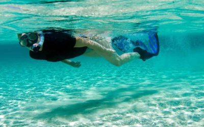 Spots snorkeling Tanzanie : où admirer les plus beaux récifs colorés ?