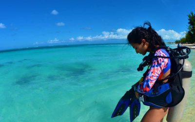 Meilleure période plongée Tanzanie : quand partir pour des conditions idéales sous l’eau ?