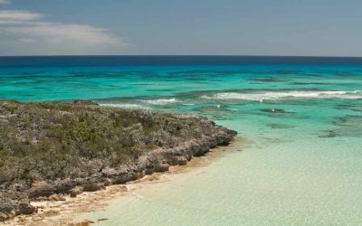 Cat Island Tanzanie à visiter : pourquoi cette île mérite-t-elle vraiment votre attention ?