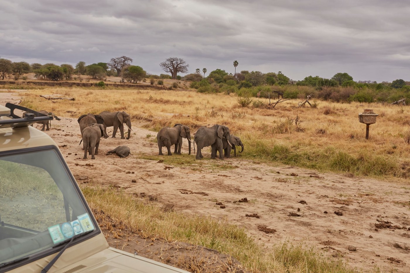 Avis Asilia Africa Safaris : camps boutique et conservation
