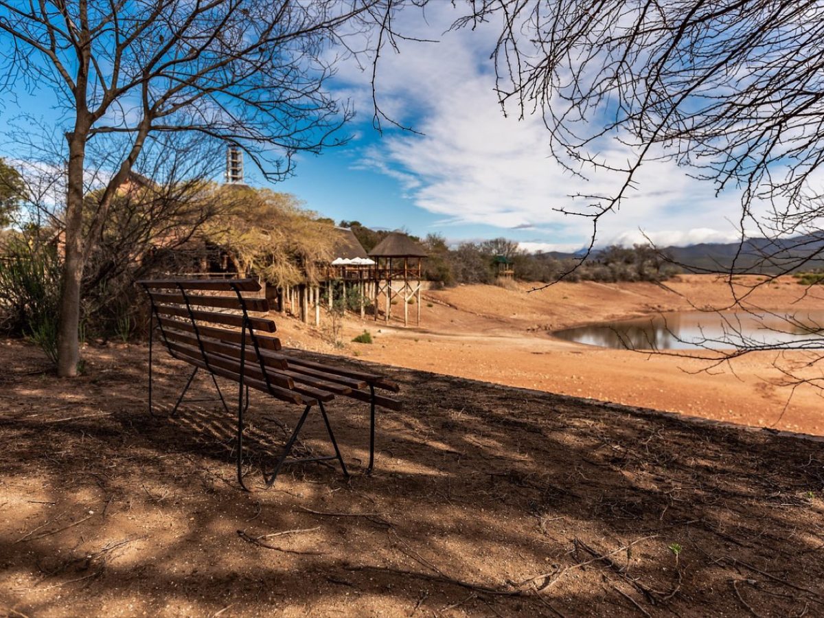 Eco‑lodge ou boutique lodge en Tanzanie : guide comparatif
