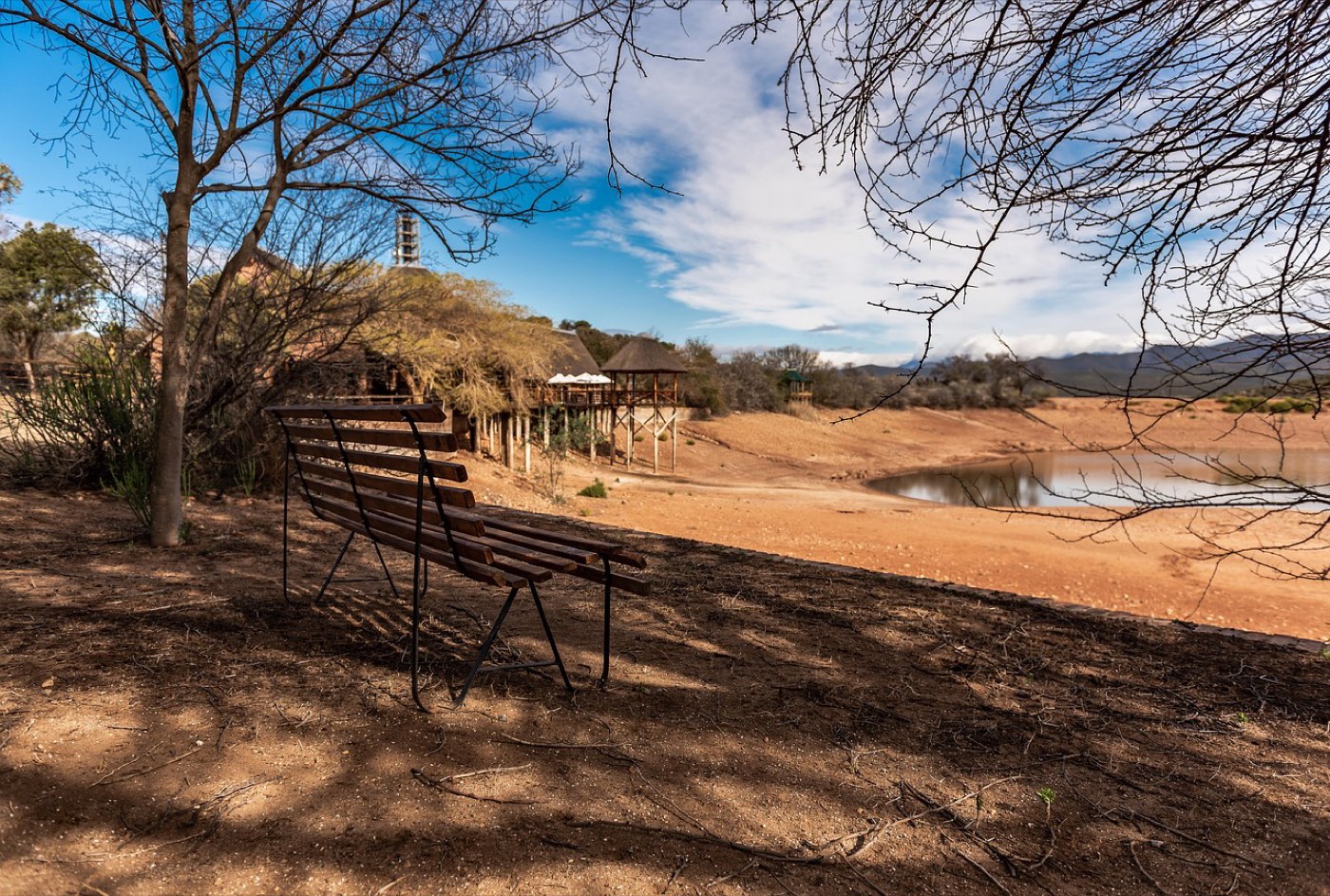 Eco‑lodge ou boutique lodge en Tanzanie : guide comparatif