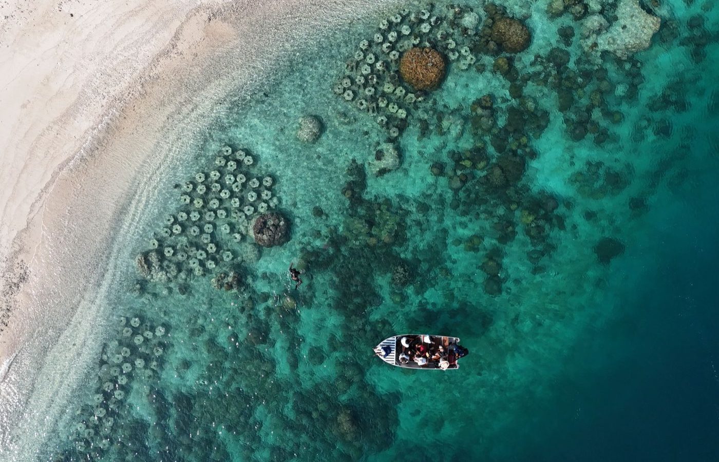 Île de Pemba — Tanzanie