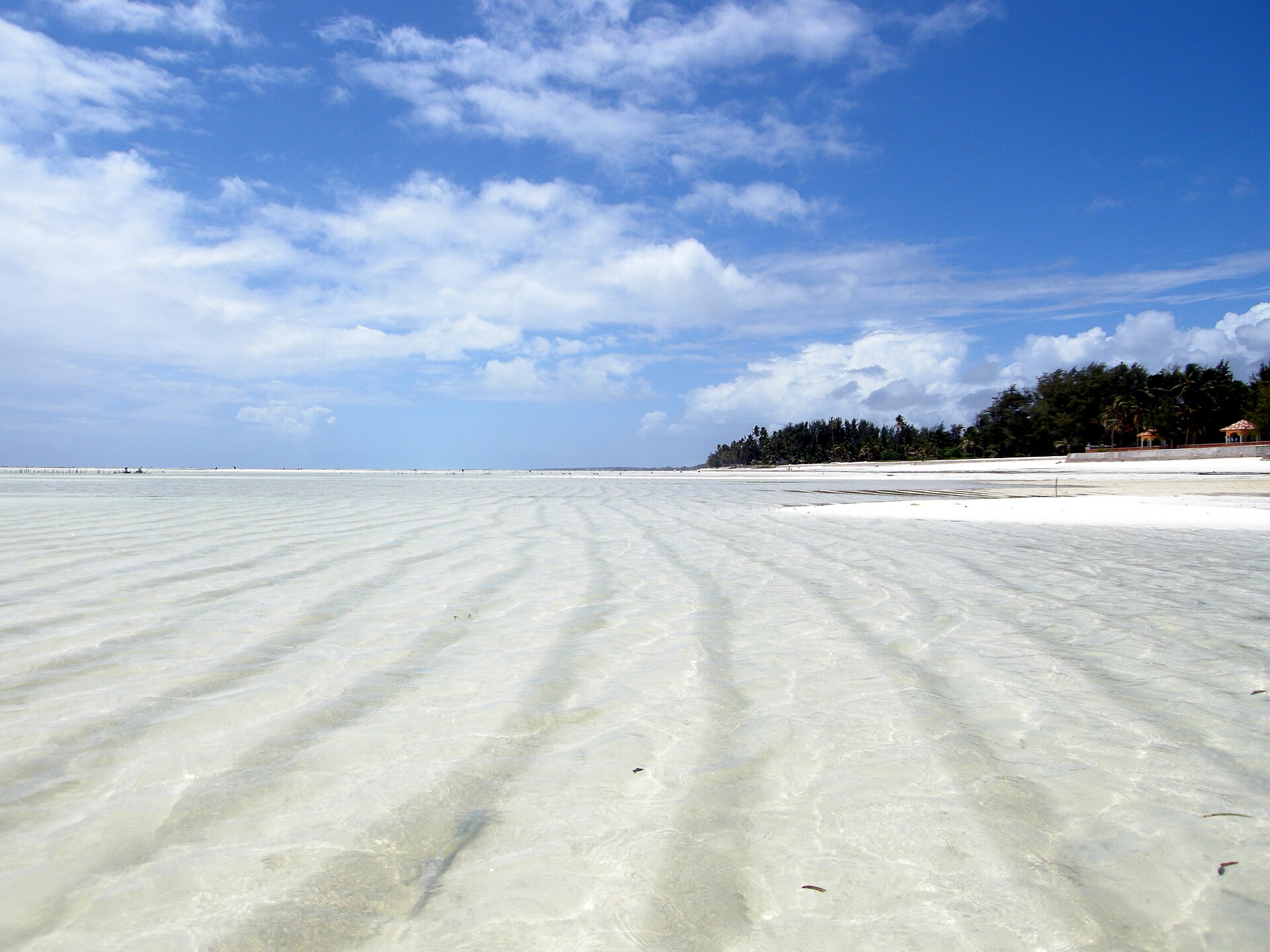 lagon de Paje à Zanzibar à marée basse, eau plate et transparente s'étendant sur plusieurs centaines de mètres jusqu'à la ligne de récif