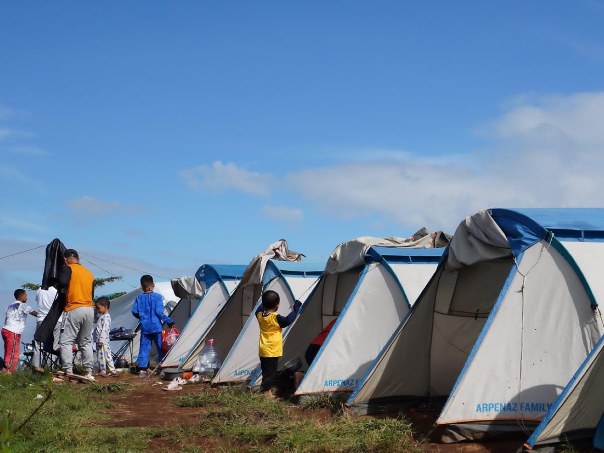 Meilleurs camps pour un safari en couple en Tanzanie