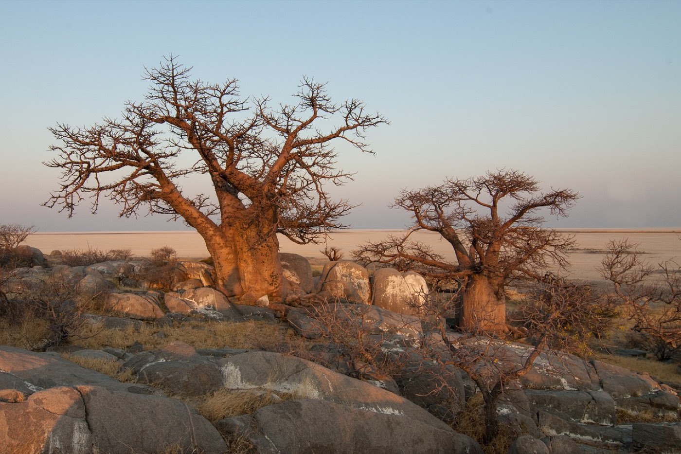 Tanzanie : parcs pour un safari loin des foules
