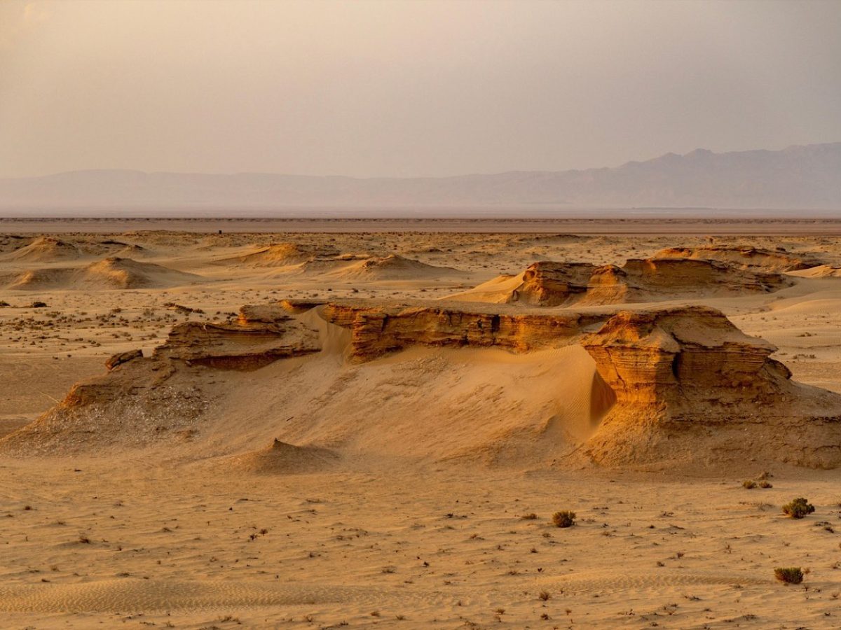 Ngorongoro ou Tarangire : lequel choisir ?