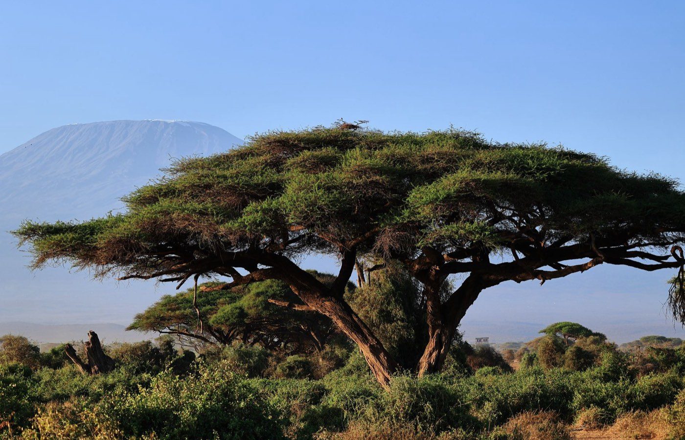 Quand partir en Tanzanie — Tanzanie