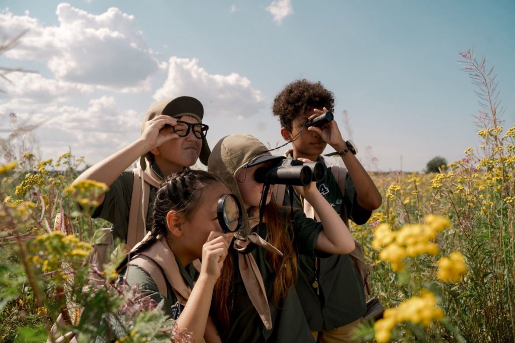 Top spots pour observer le gibier en milieu rural