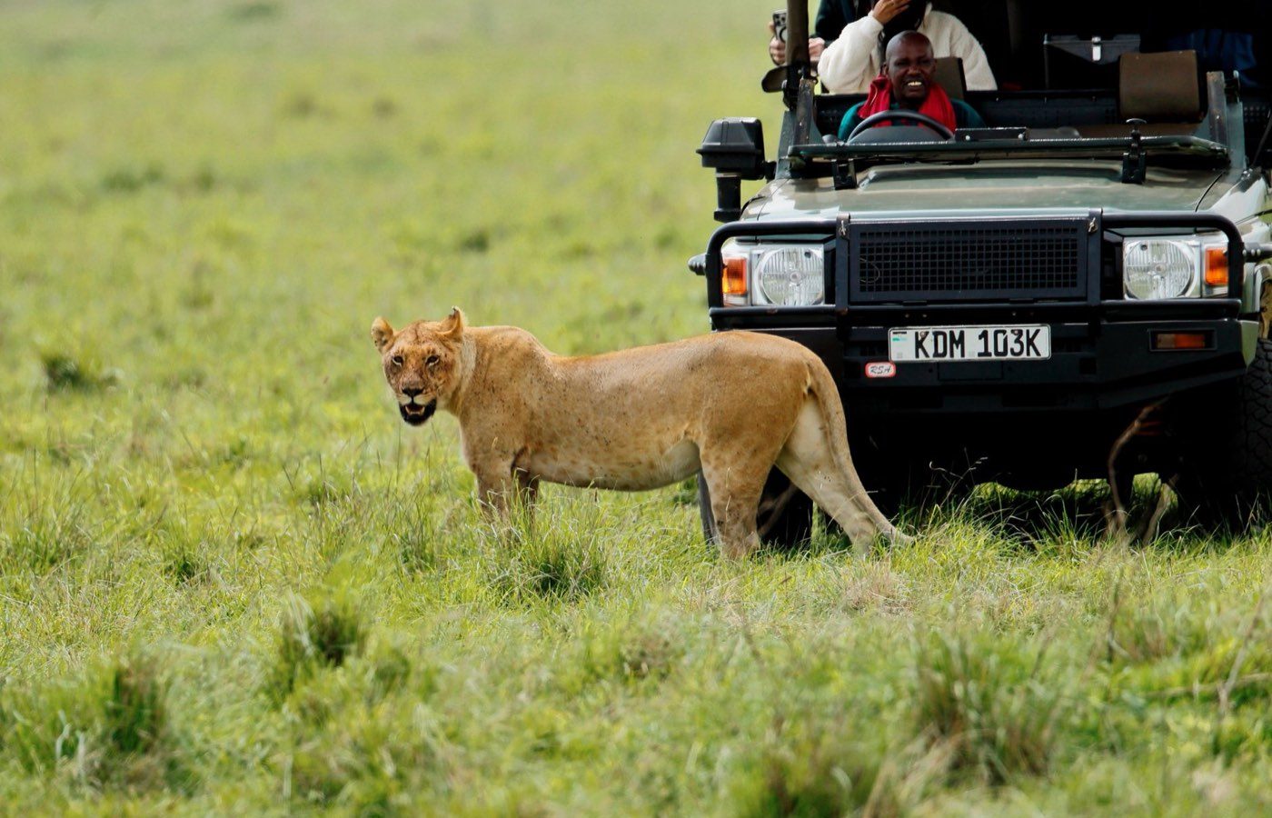 Safari photo — Tanzanie