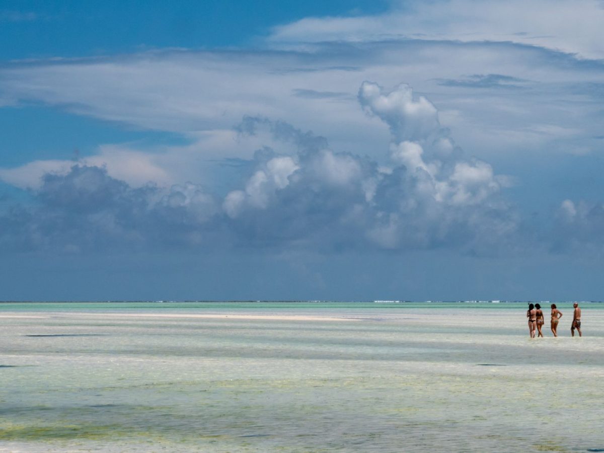 La nouvelle liaison aérienne vers Zanzibar : un atout incontournable pour votre voyage en Tanzanie
