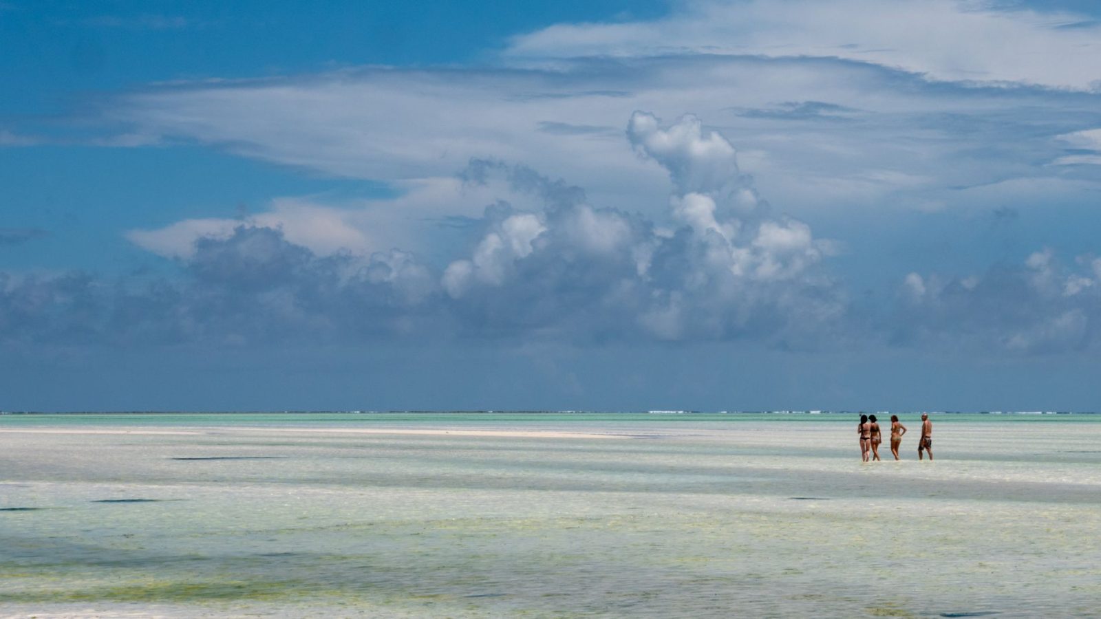 La nouvelle liaison aérienne vers Zanzibar : un atout incontournable pour votre voyage en Tanzanie