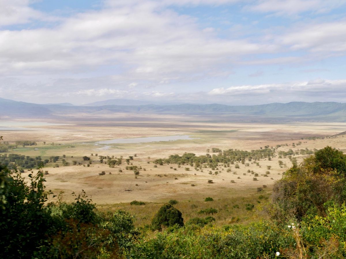 Nouvelles formalités de visa pour entrer en Tanzanie