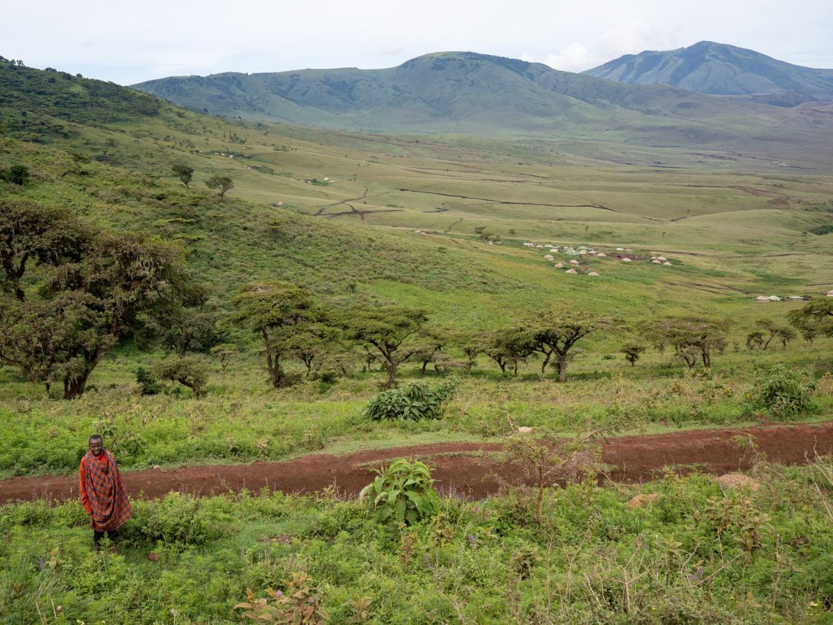 L’assurance voyage obligatoire en Tanzanie : un impact financier à ne pas négliger