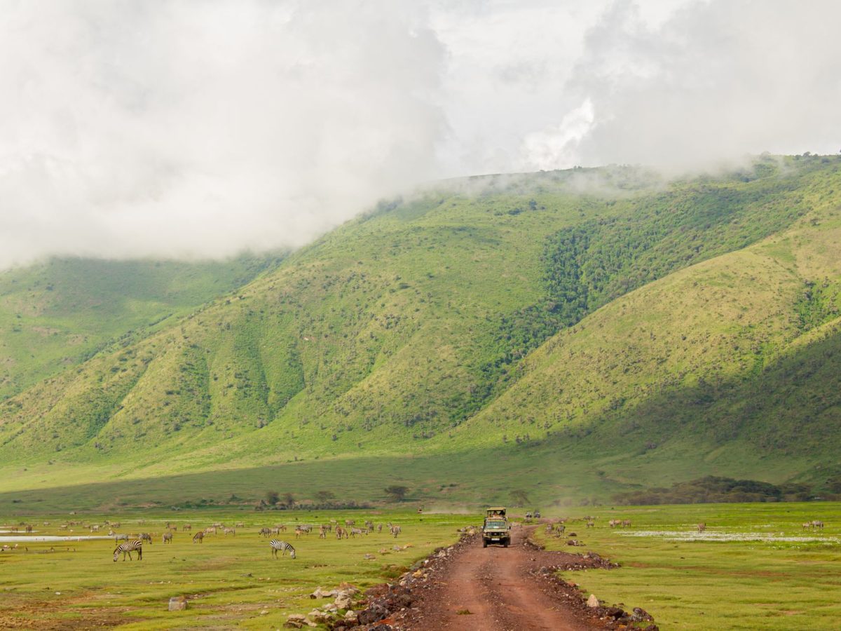 Comment gérer la fréquentation au Ngorongoro ?