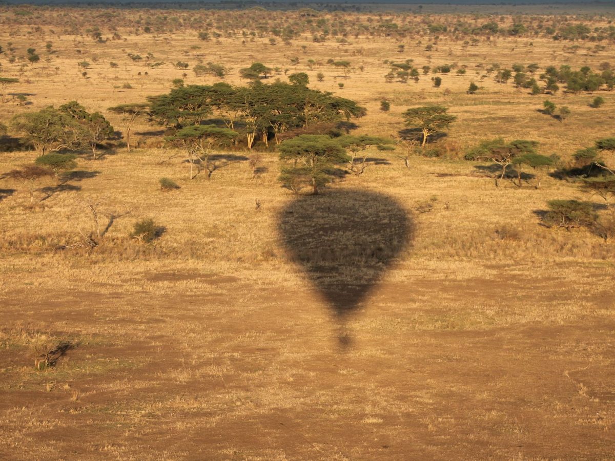 Londres-Tanzanie : les vols directs qui transforment votre voyage dès maintenant