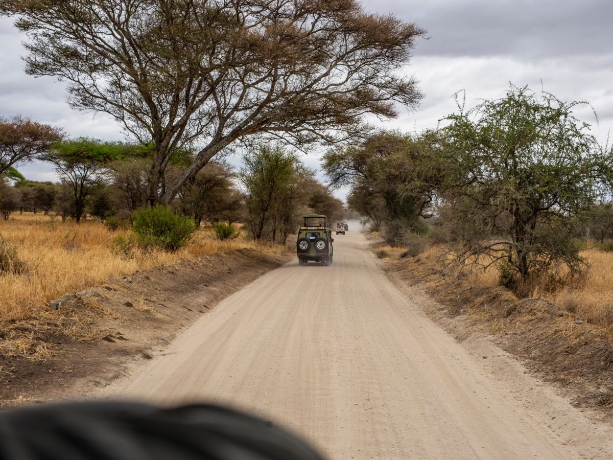 Nouvelles liaisons aériennes : Le coup d’accélérateur pour votre voyage en Tanzanie !