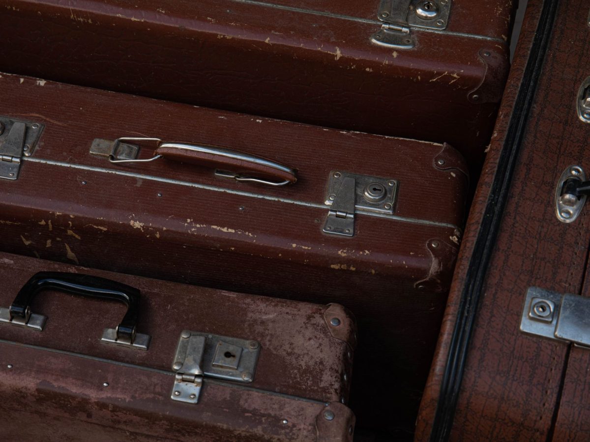 Préparatifs essentiels avant un safari
