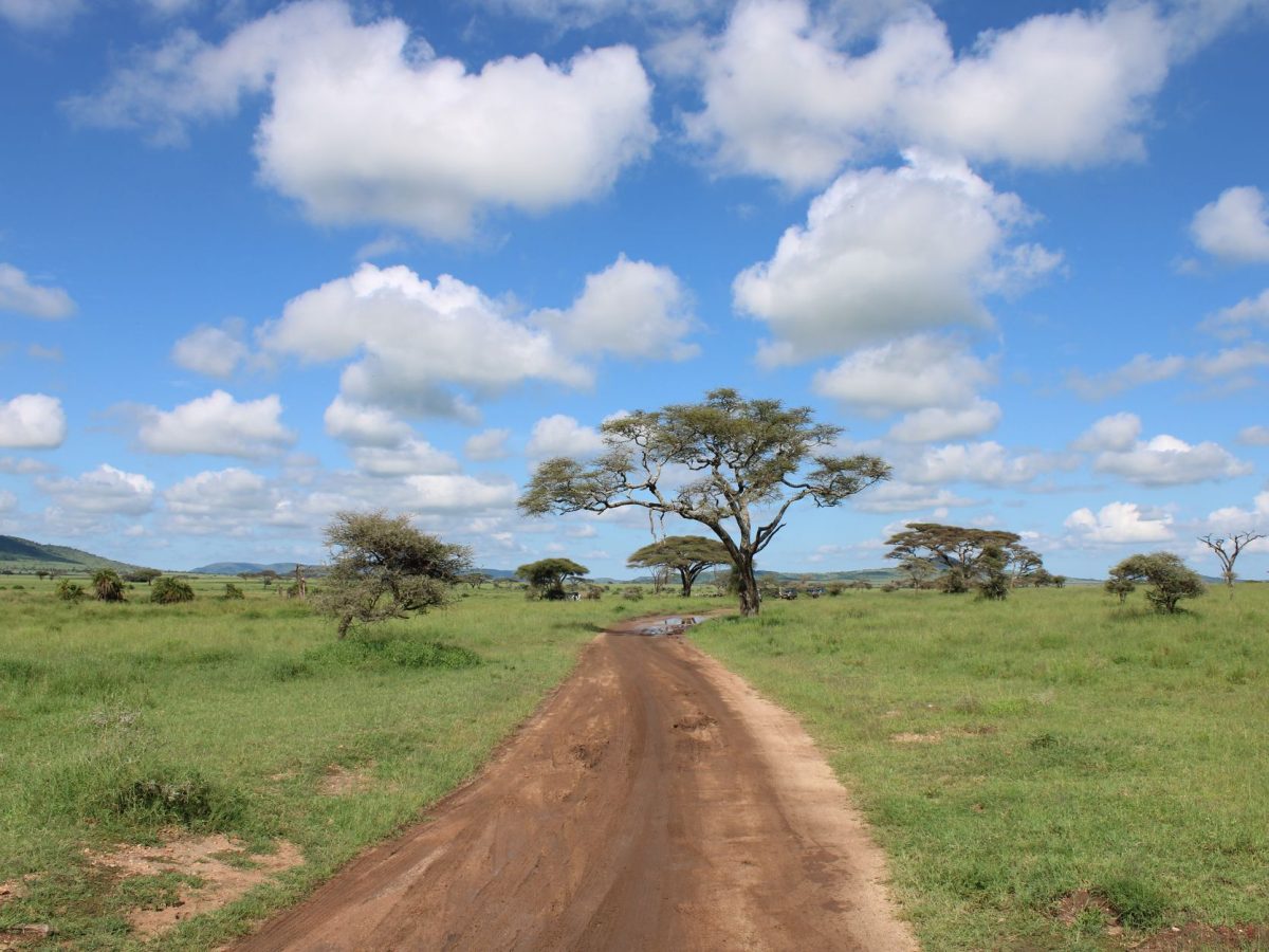 Nouvelles liaisons aériennes vers la Tanzanie : un accès facilité