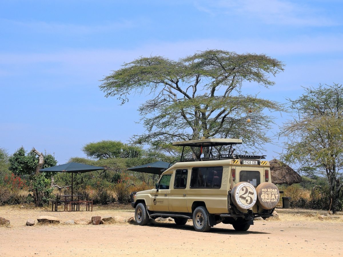 Tanzanie ou Maroc : comment choisir votre premier grand voyage en Afrique ?