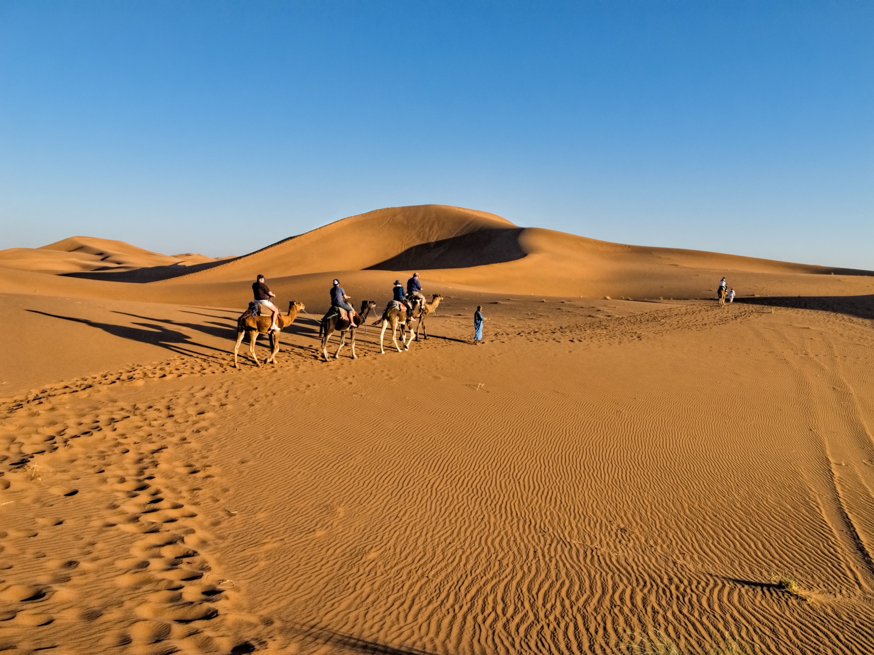 dunes de sable de l'Erg Chigaga dans le désert du Sahara marocain, traversées à dos de dromadaire