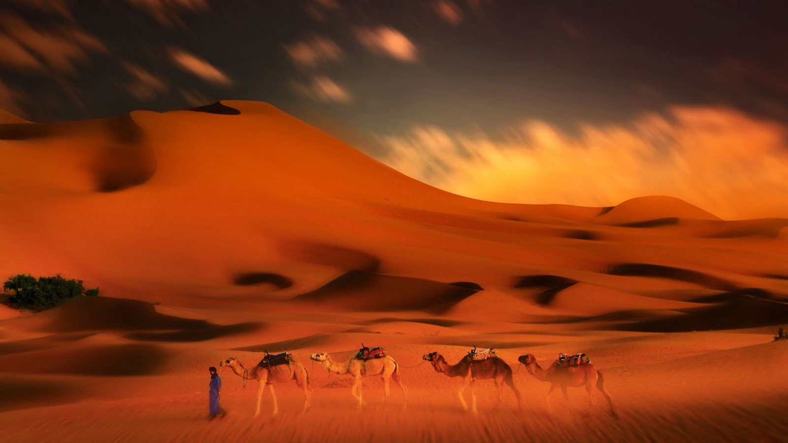 Circuit désert Maroc : l'autre premier grand voyage, loin de la savane