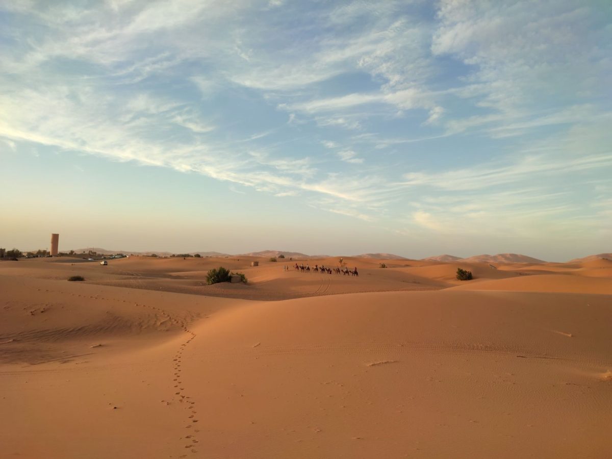 Circuit désert Tunisie : ce qu’il change face à un premier safari afri
