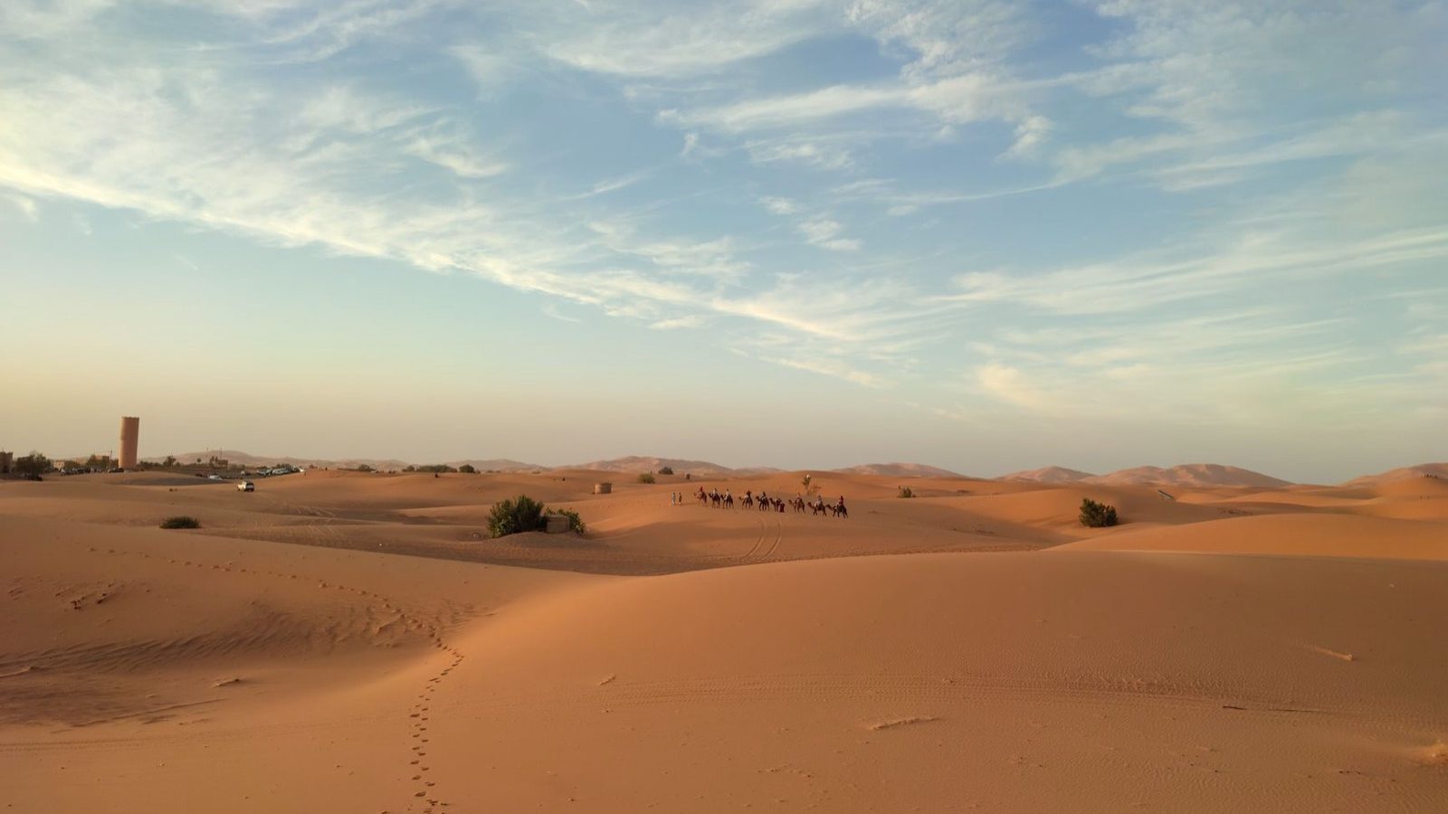 Circuit désert Tunisie : ce qu'il change face à un premier safari afri