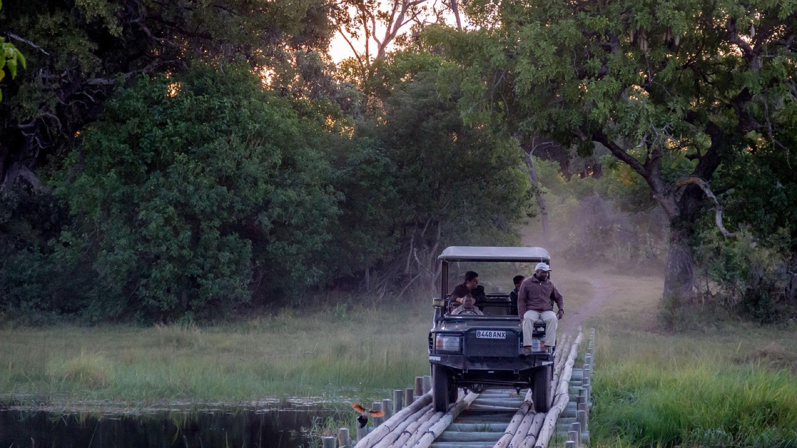 Touristes en safari observant la faune avec des jumelles depuis un véhicule