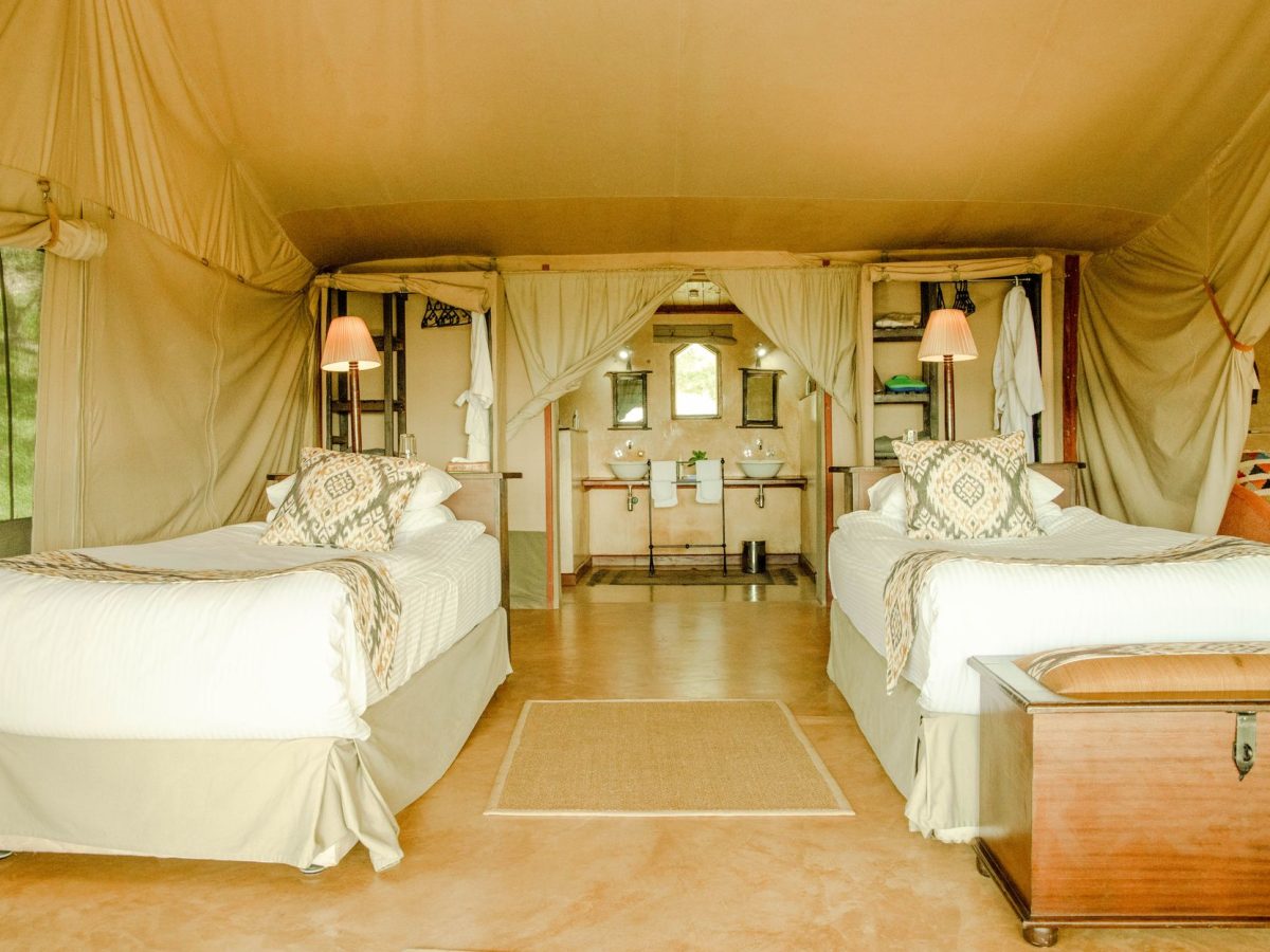 Glamping en Tanzanie : Luxe ou nature, quel camp choisir ?