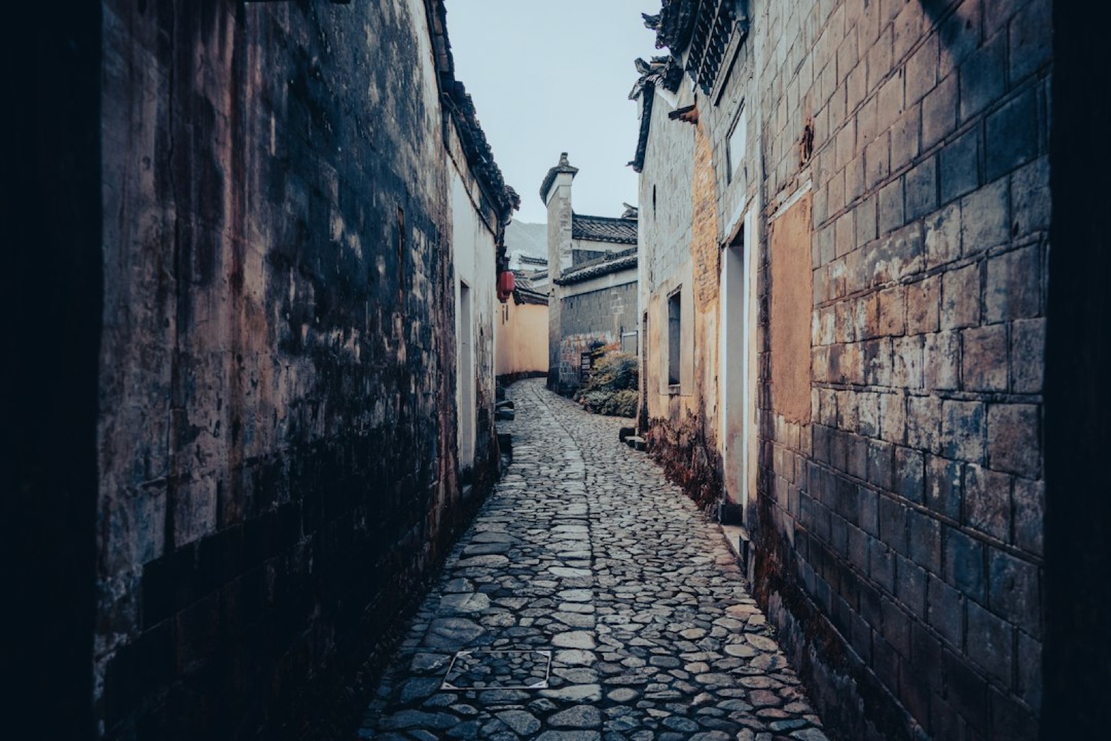 ruelle étroite pavée avec porte sculptée à Stone Town